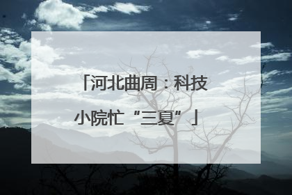 河北曲周：科技小院忙“三夏”